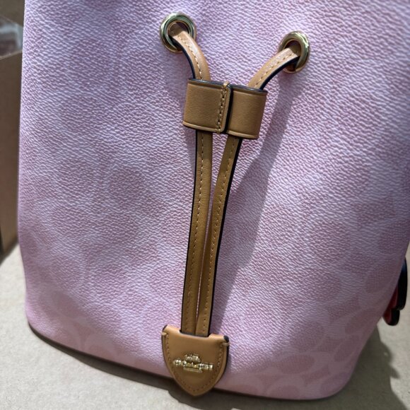 Coach Rowan Bucket Bag In Signature Canvas With Charms - Picture 3 of 9
